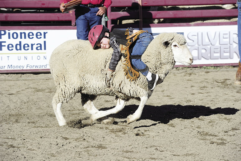 19-07-03 mutton bustin 1.jpg